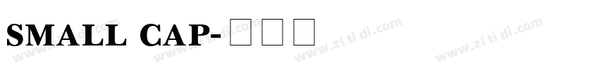small cap字体转换